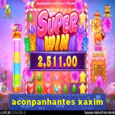 aconpanhantes xaxim